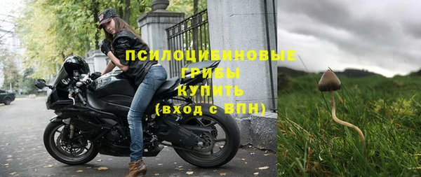 винт Армянск
