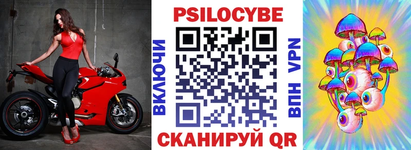 Галлюциногенные грибы прущие грибы  Малая Вишера 
